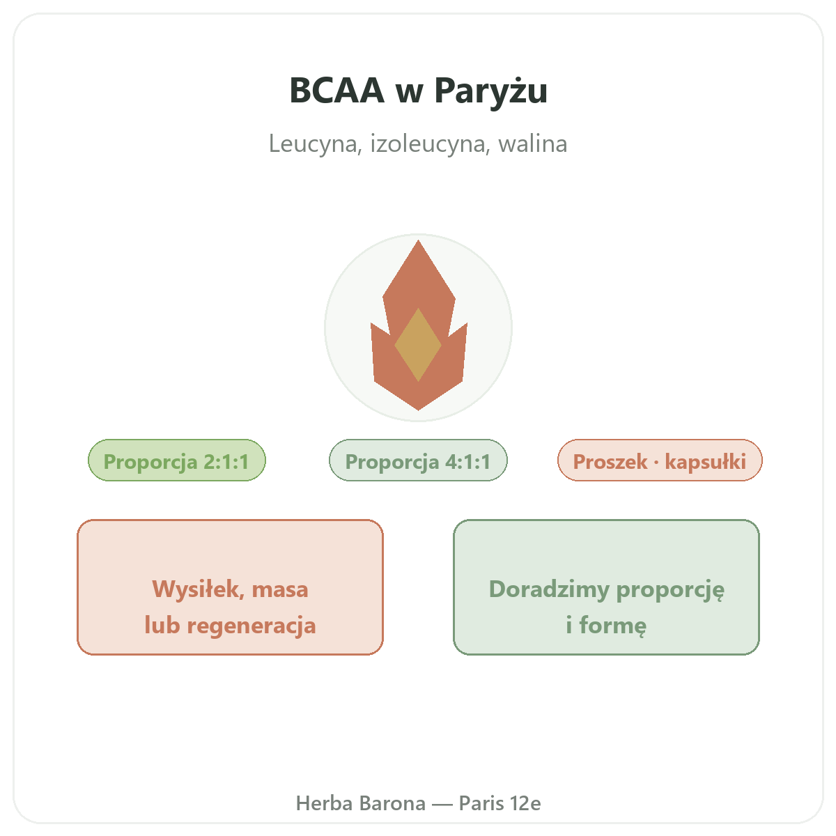 BCAA w Paryżu - leucyna, izoleucyna i walina w Herba Barona, Paryż 12