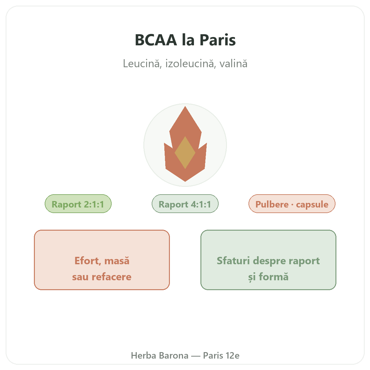BCAA la Paris - leucină, izoleucină și valină la Herba Barona, Paris 12