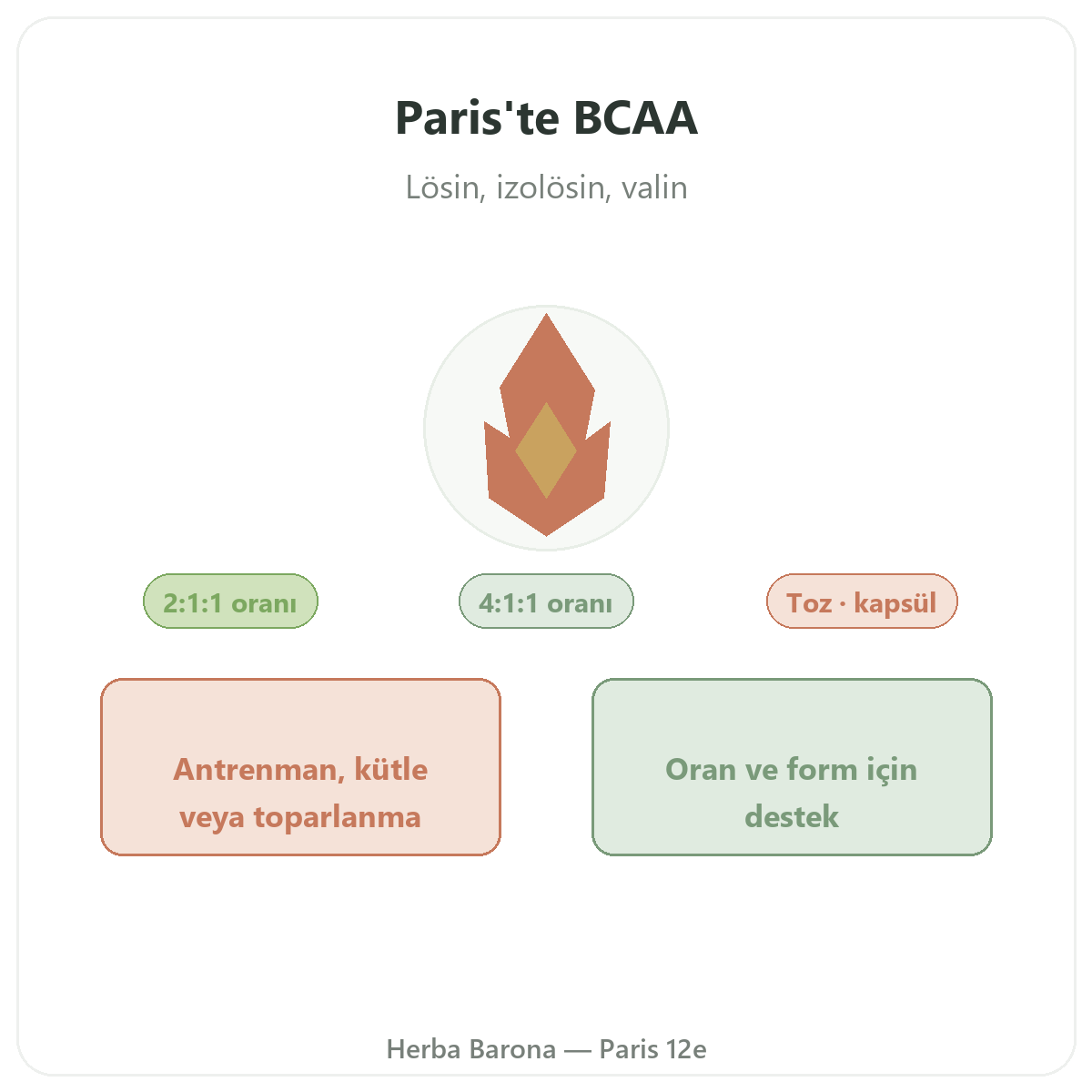 Paris'te BCAA - lösin, izolösin ve valin, Herba Barona Paris 12