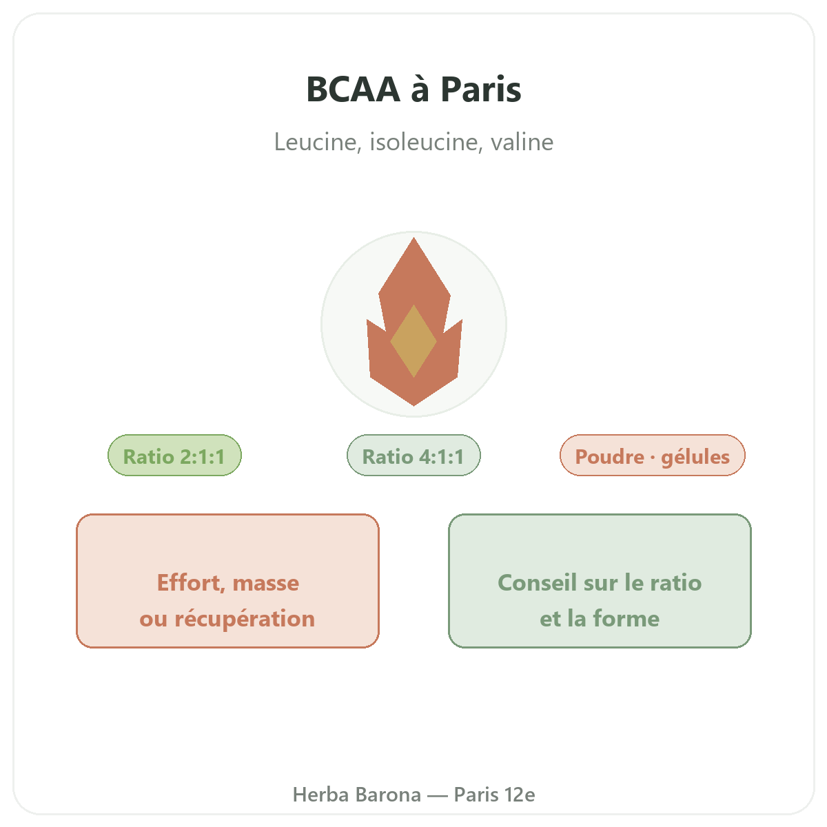 BCAA à Paris - leucine, isoleucine, valine chez Herba Barona Paris 12e