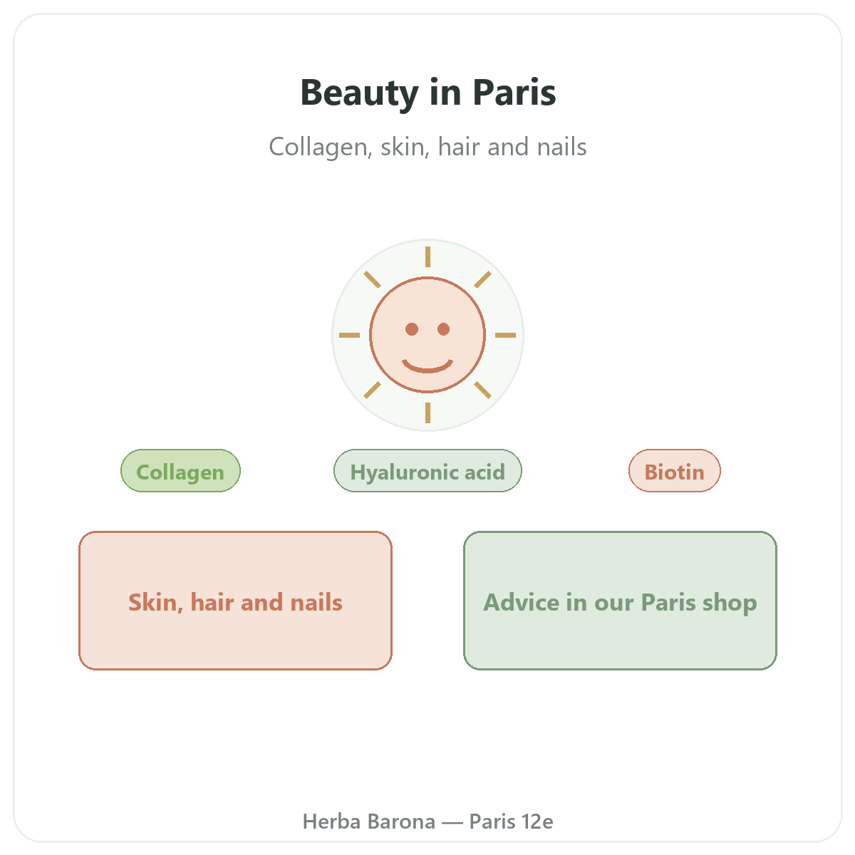 Beauty, skin & hair in Paris - category overview at Herba Barona Paris 12e