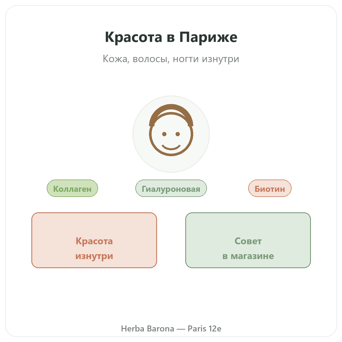 Красота, кожа и волосы Париж — представление категории в Herba Barona Париж, 12-й округ