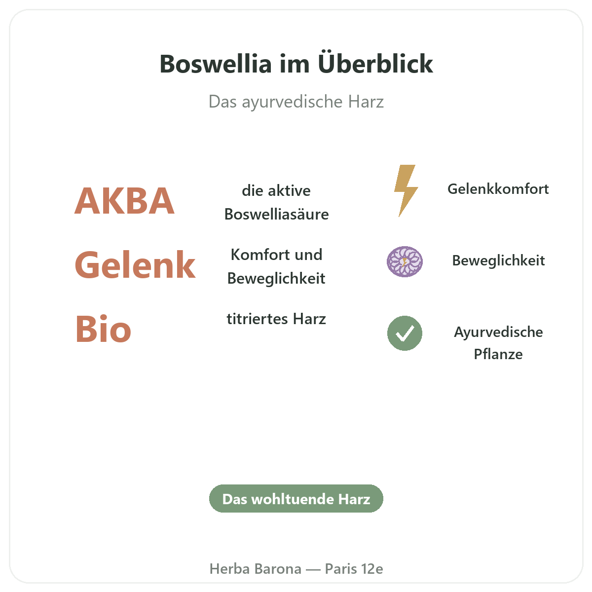 Boswellia Paris im Überblick - wichtige Zahlen bei Herba Barona Paris 12e