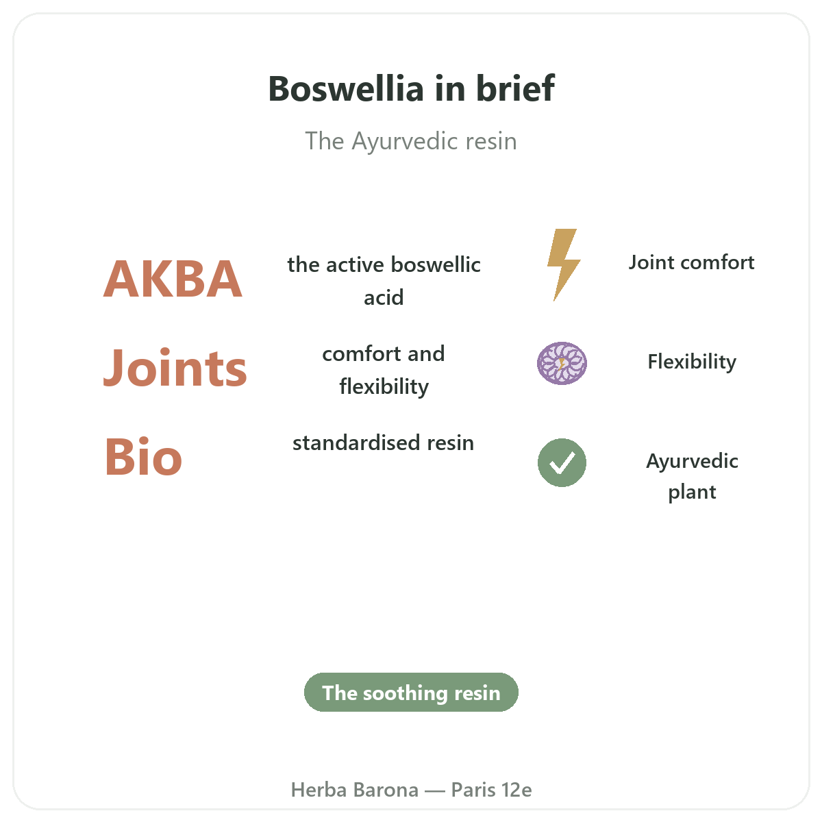 Boswellia in Paris at a glance - key facts at Herba Barona Paris 12th