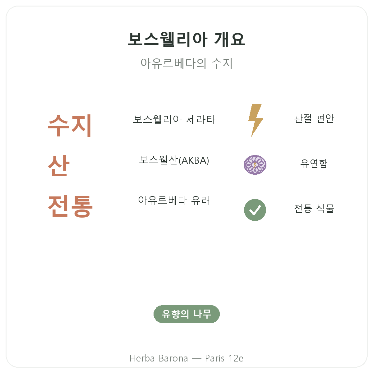 보스웰리아 파리 요약 - Herba Barona 파리 12구 핵심 정보