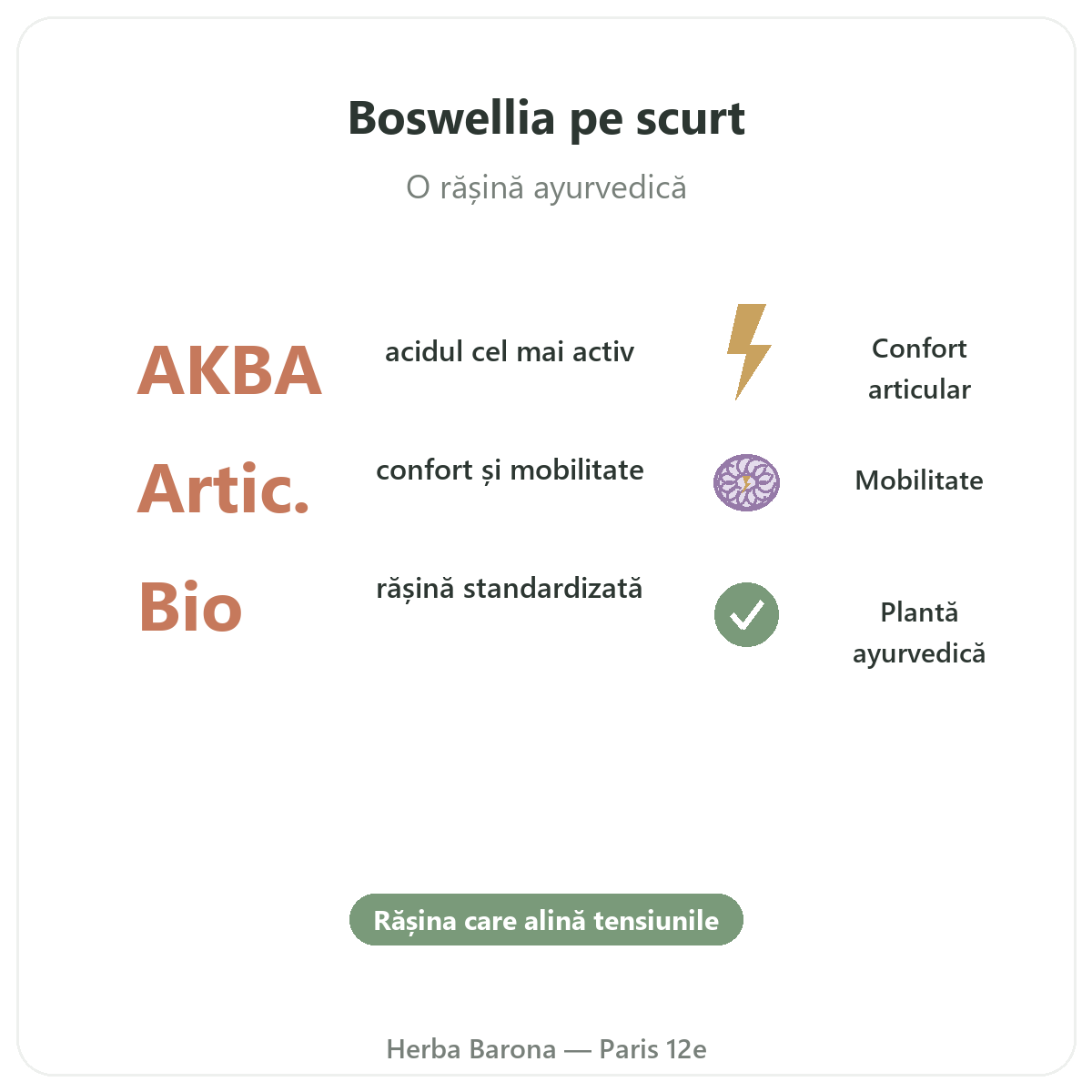 Boswellia Paris pe scurt - cifre cheie la Herba Barona Paris 12e