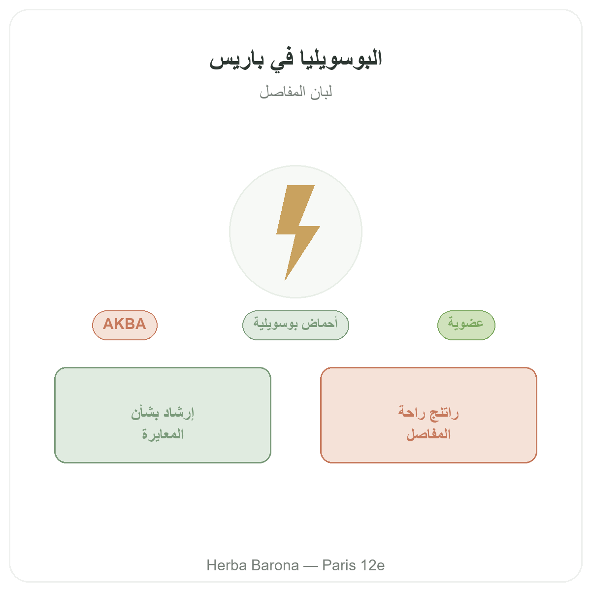 Boswellia في باريس - تقديم العلامة لدى Herba Barona باريس الدائرة 12