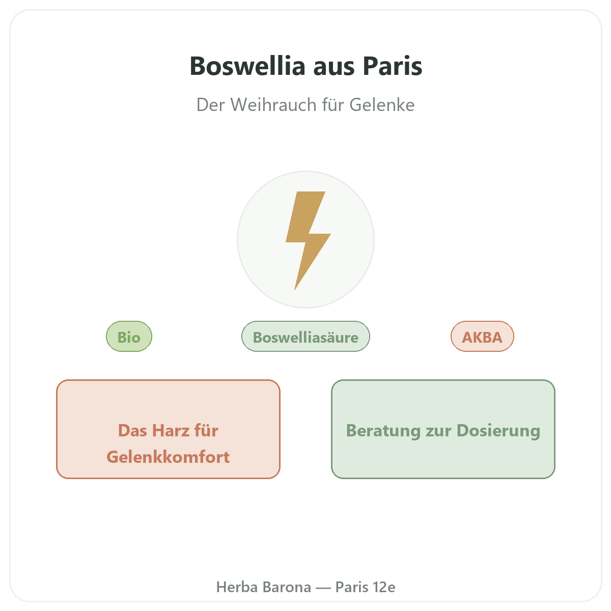 Boswellia Paris - Markenvorstellung bei Herba Barona Paris 12e