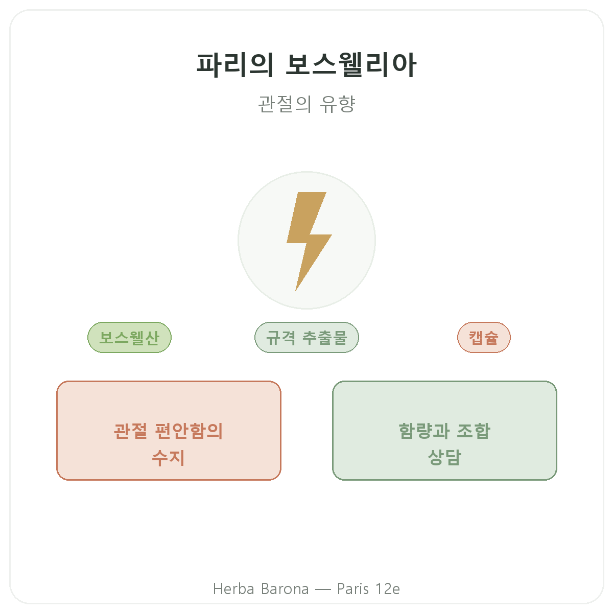 보스웰리아 파리 - Herba Barona 파리 12구 브랜드 소개