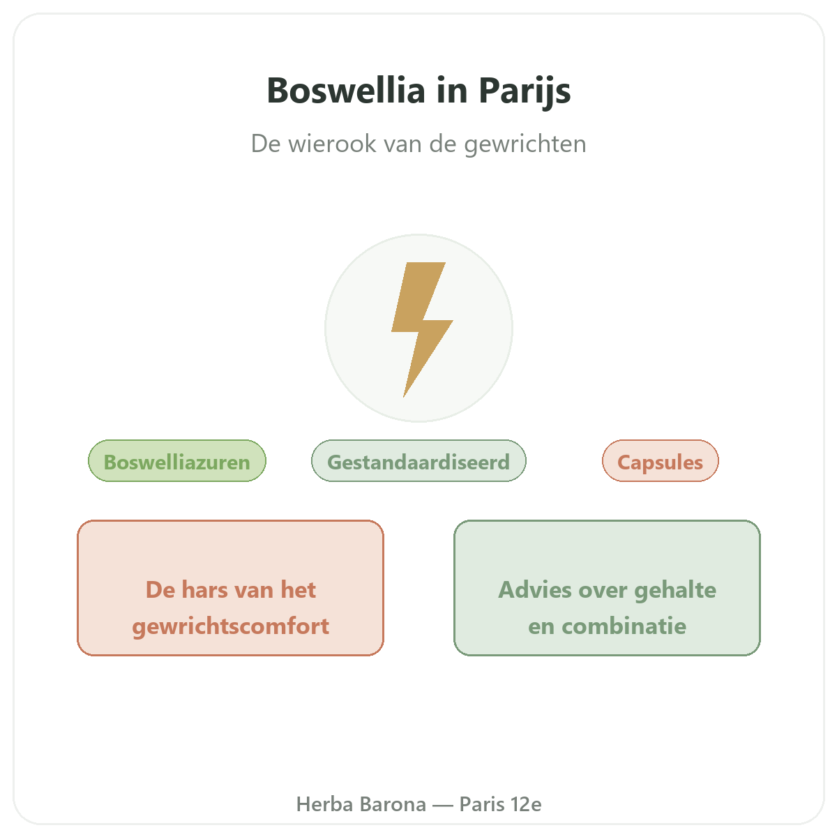 Boswellia Paris Paris - presentation de la marque chez Herba Barona Paris 12e