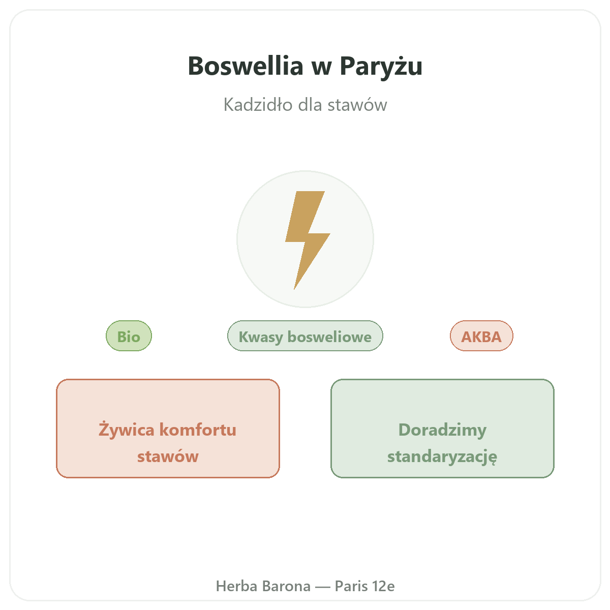 Boswellia w Paryżu - prezentacja marki w Herba Barona, Paryż 12. dzielnica