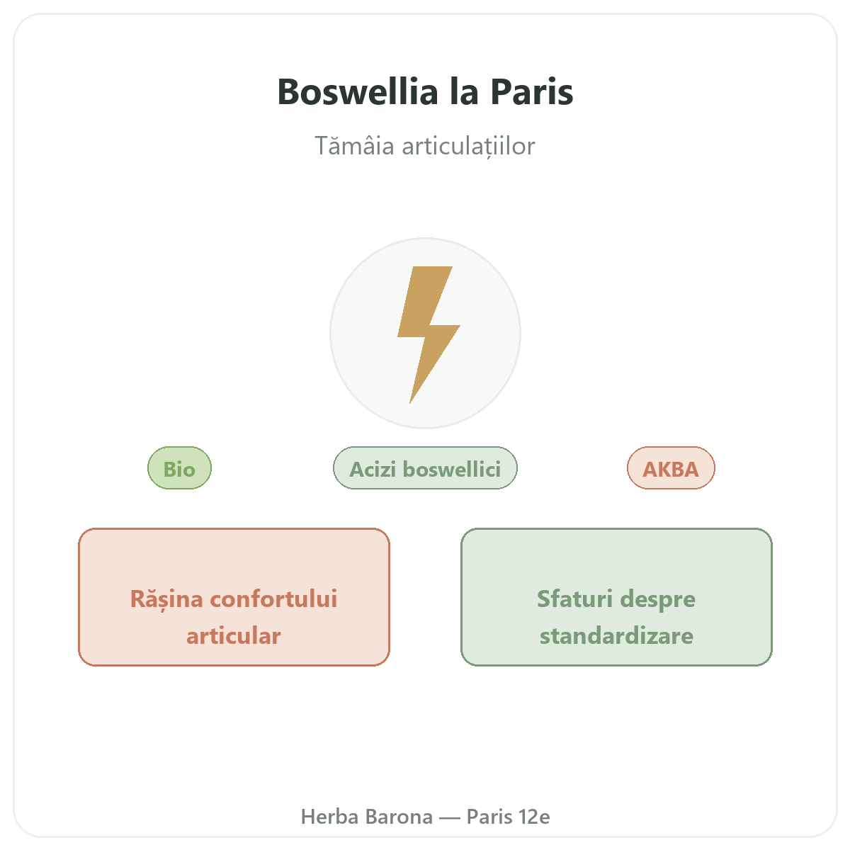 Boswellia Paris - prezentarea mărcii la Herba Barona Paris 12e