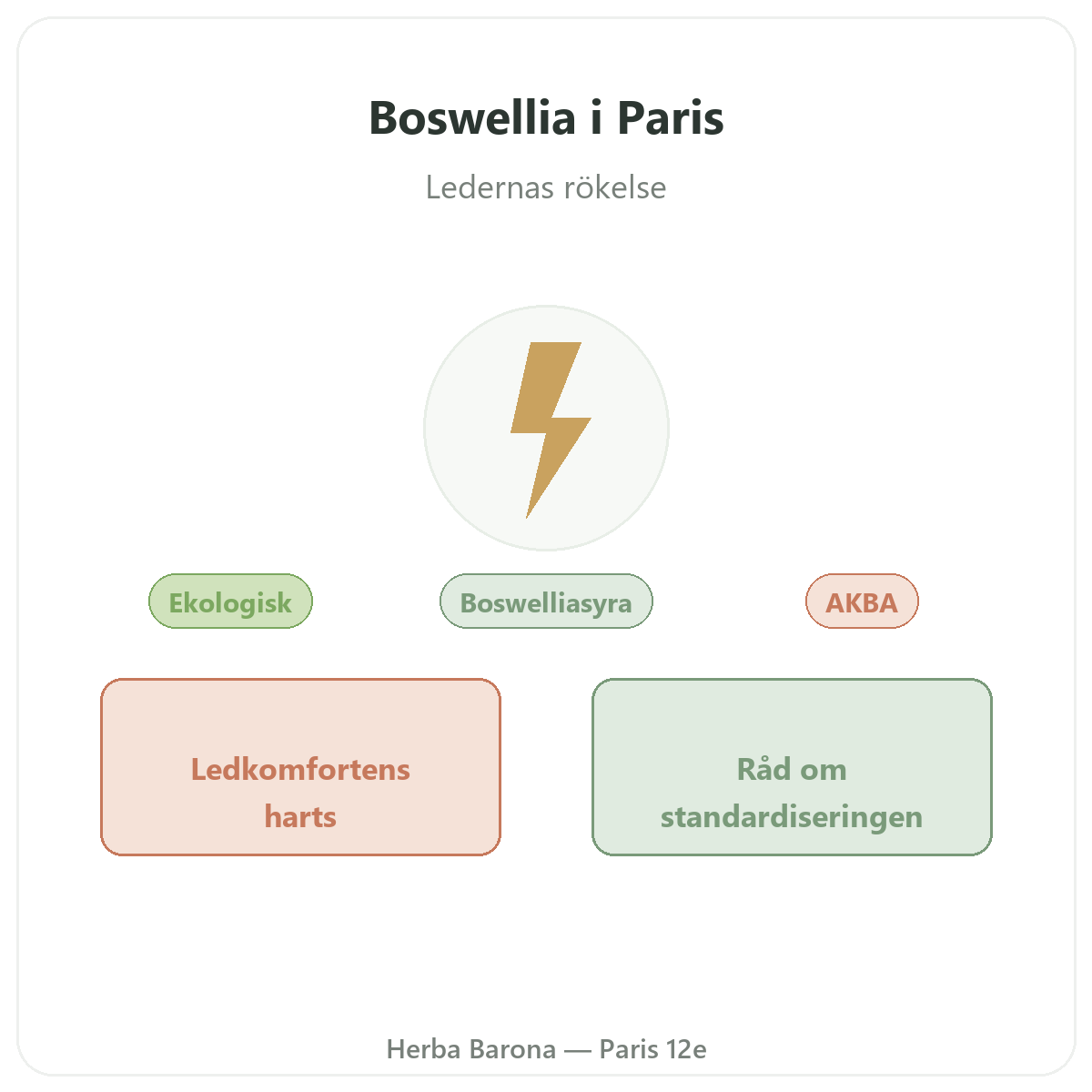 Boswellia Paris - produktpresentation hos Herba Barona Paris 12e