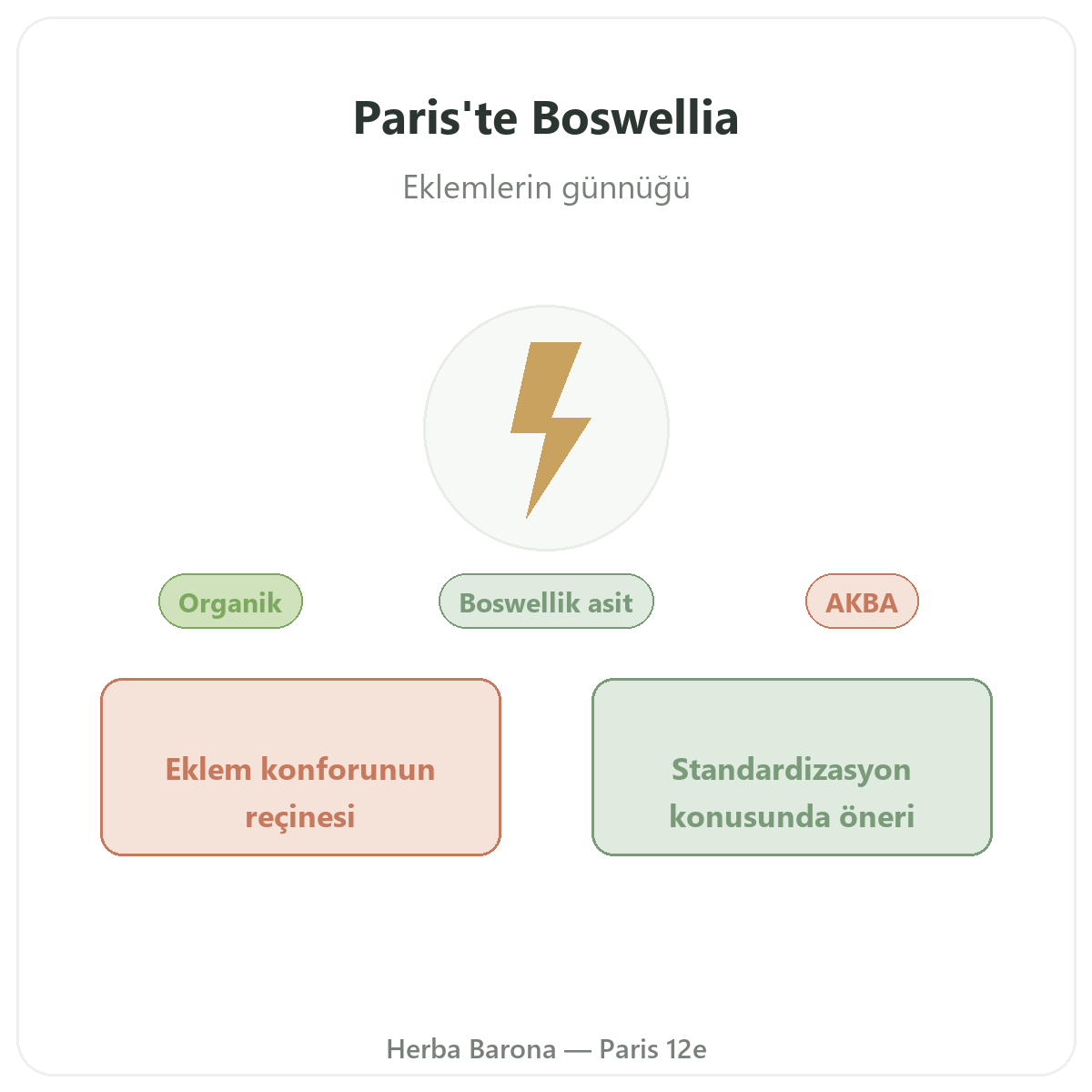 Boswellia Paris - markanın tanıtımı, Herba Barona Paris 12. bölge