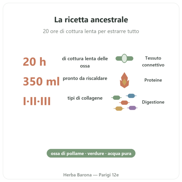 Brodo d'ossa di pollo 350ml – Jarmino benefici e dati chiave Paris Herba Barona