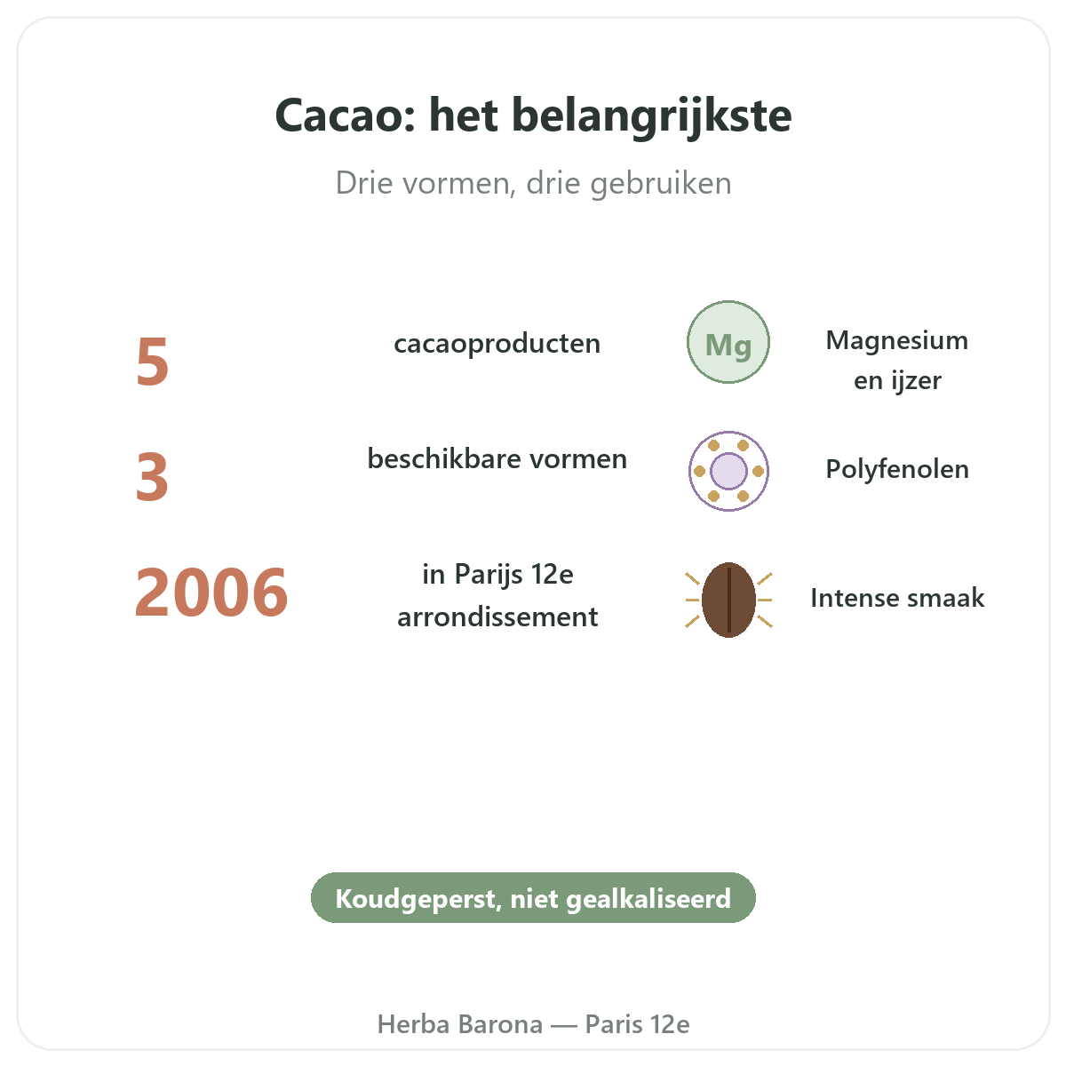 Rauwe cacao Parijs in het kort - kerncijfers bij Herba Barona Parijs 12e