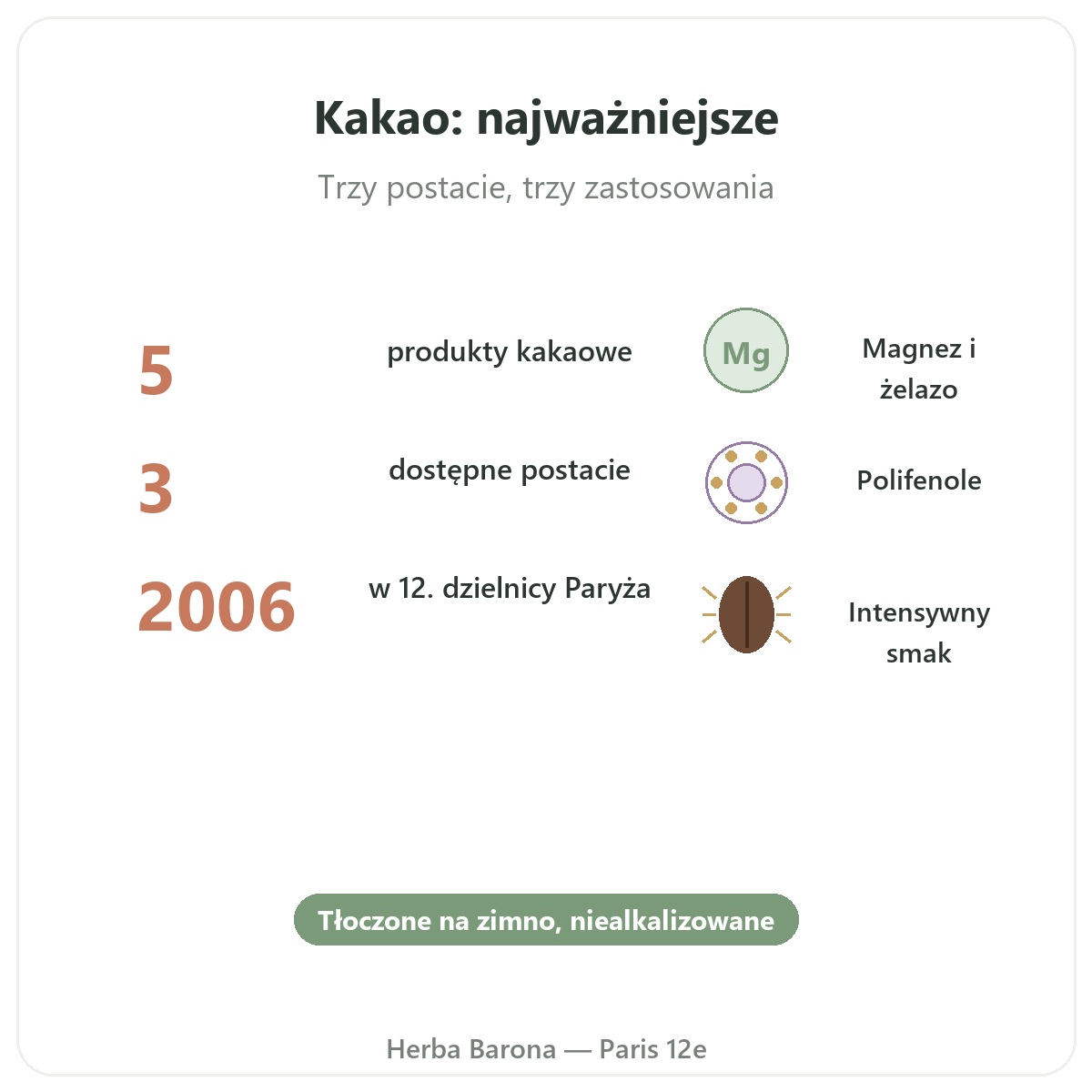 Kakao surowe w skrócie – kluczowe dane, dostawa do Polski