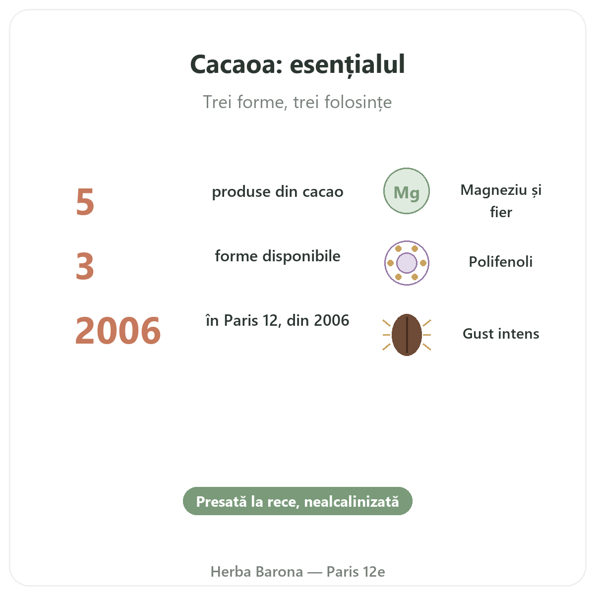 Cacao crud Paris pe scurt - cifre cheie la Herba Barona Paris, arondismentul 12