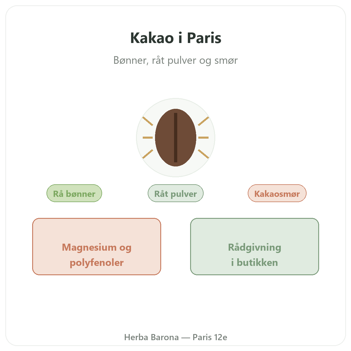 Rå kakao Paris Paris - præsentation af mærket hos Herba Barona Paris 12