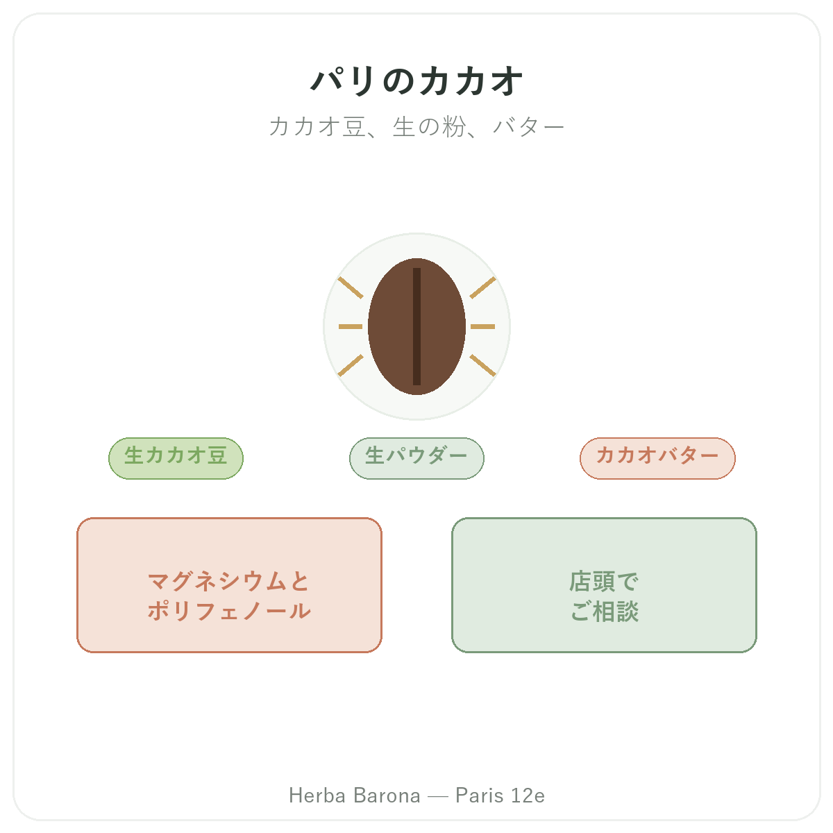 カカオ パリ - Herba Baronaのブランド紹介 パリ12区