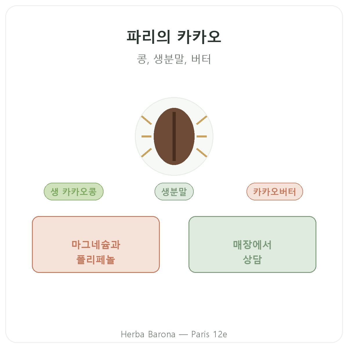 생카카오 파리 - Herba Barona 파리 12구 브랜드 소개