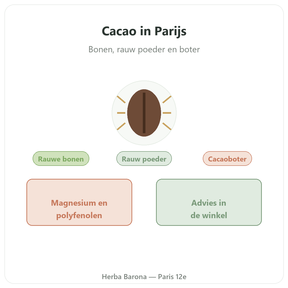Rauwe cacao Parijs - presentatie van het merk bij Herba Barona Parijs 12e