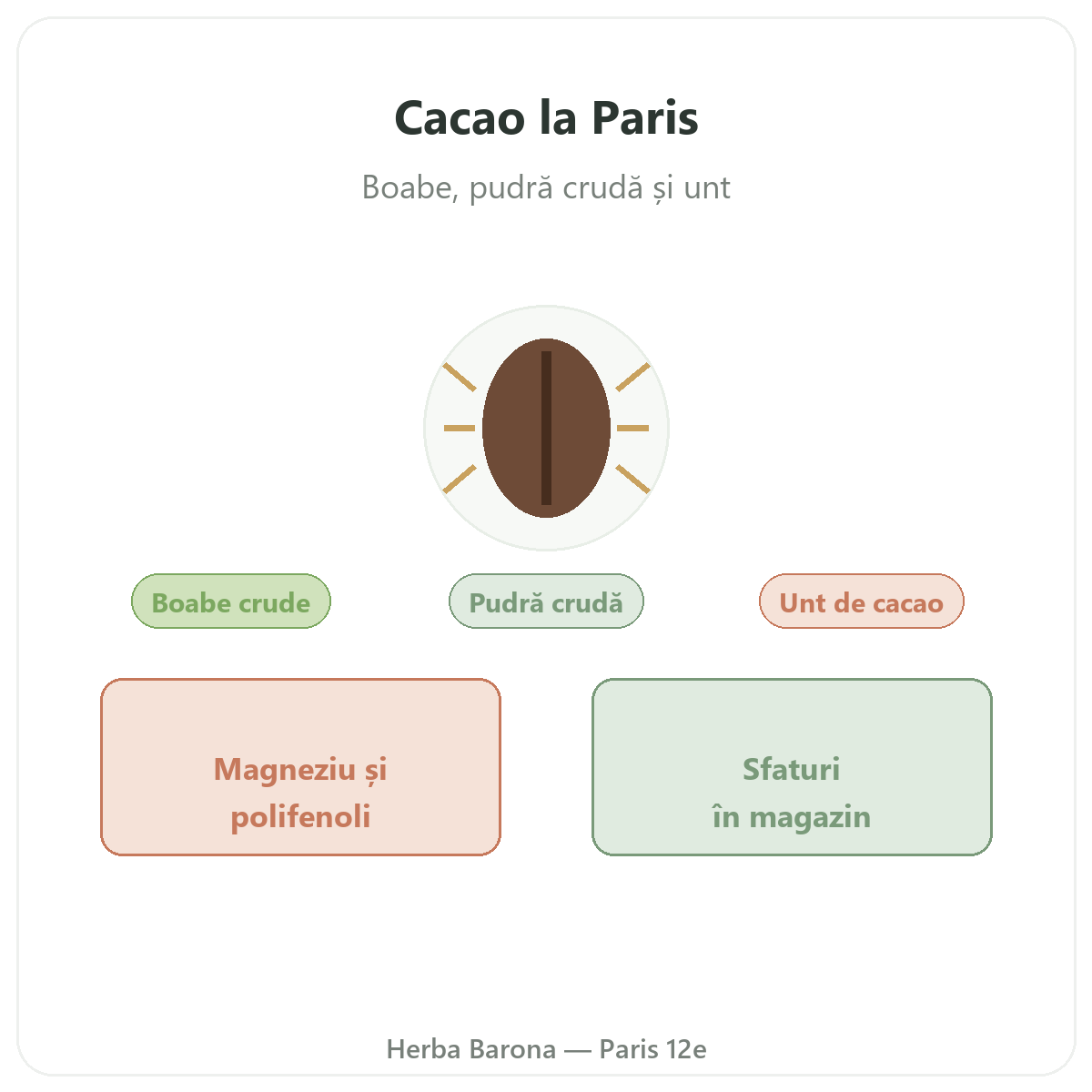 Cacao crud Paris - prezentarea mărcii la Herba Barona Paris, arondismentul 12