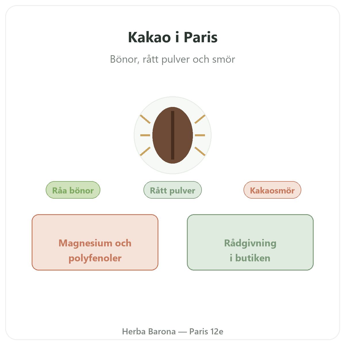 Rå kakao Paris Paris - presentation av varumärket hos Herba Barona Paris 12e