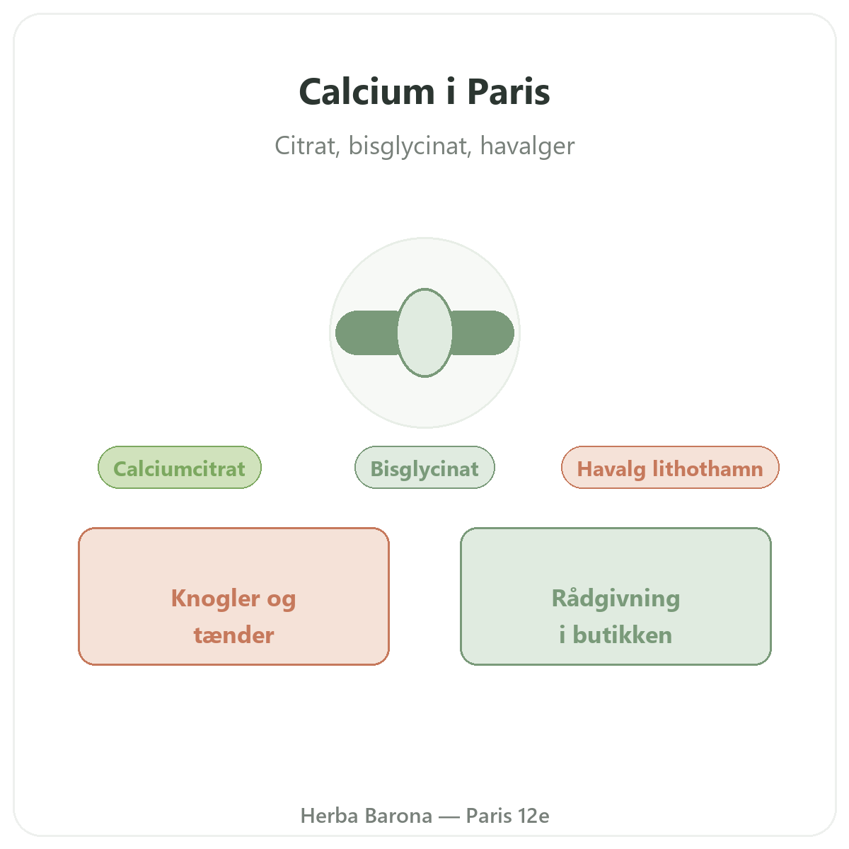 Calcium i Paris - hos Herba Barona Paris 12