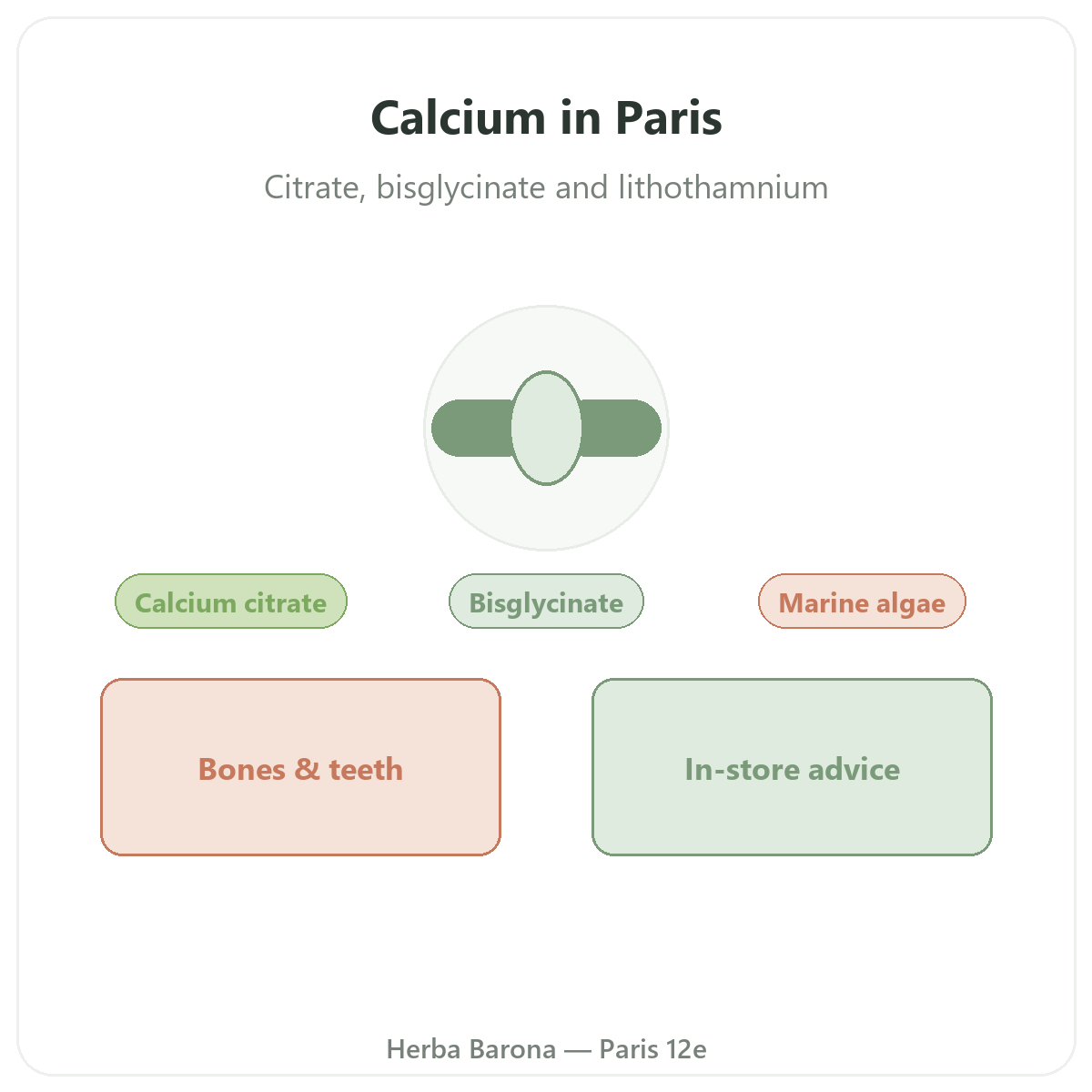 Calcium in Paris - at Herba Barona Paris 12th
