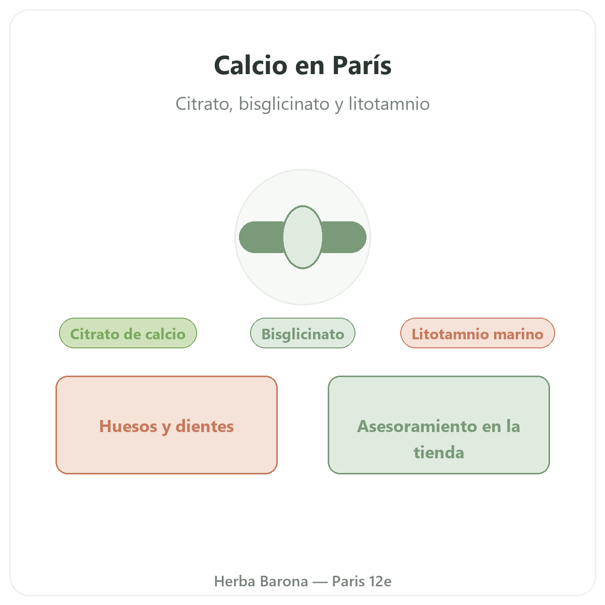 Calcio en París - en Herba Barona París 12e