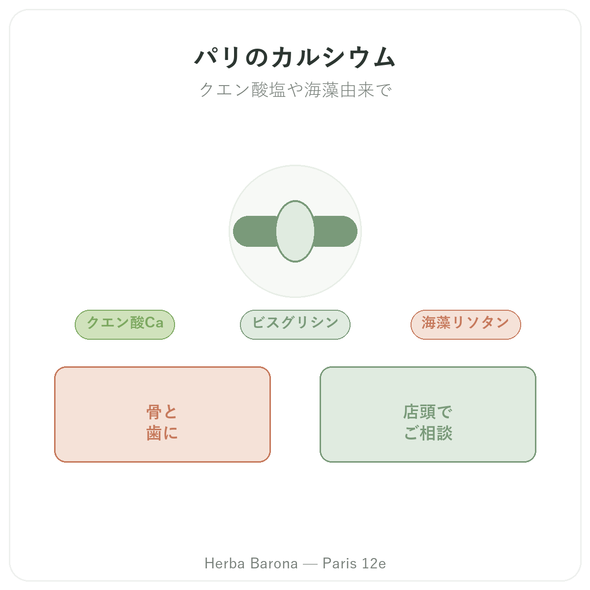 パリのカルシウムサプリメント — Herba Barona(パリ12区)