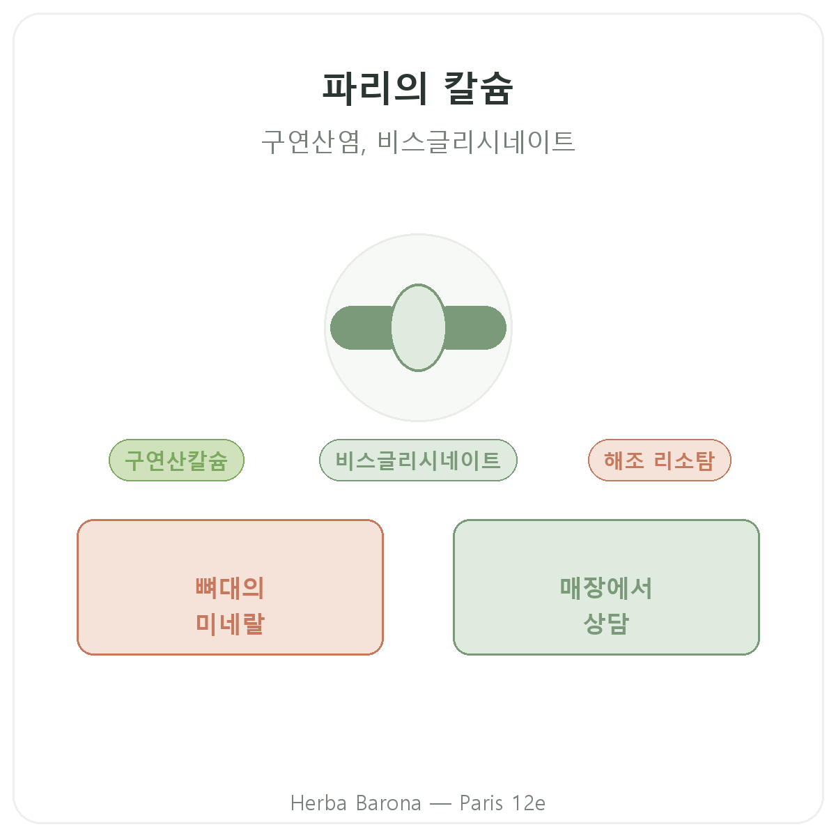 칼슘 파리 - Herba Barona 파리 12구
