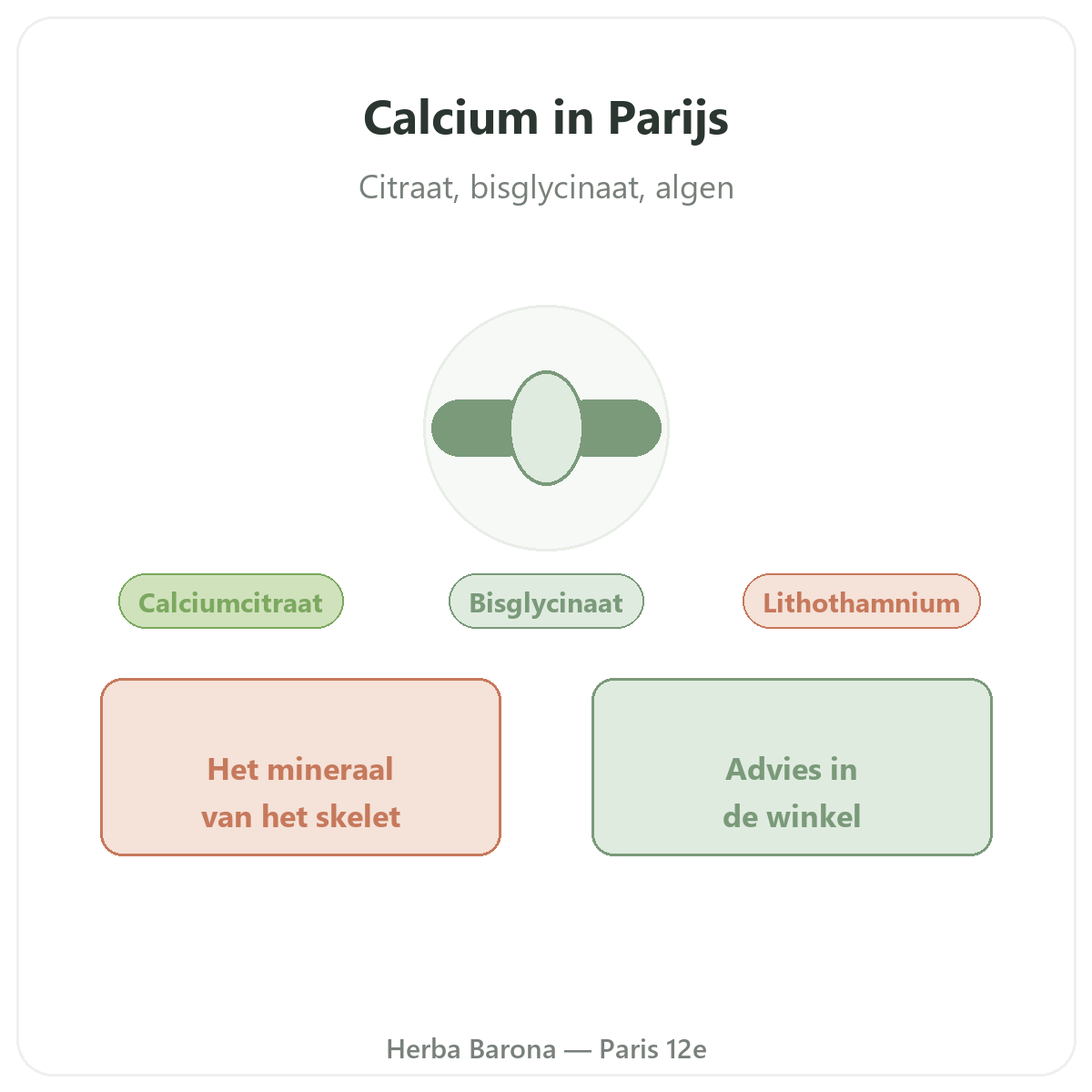 Calcium a Paris - chez Herba Barona Paris 12e