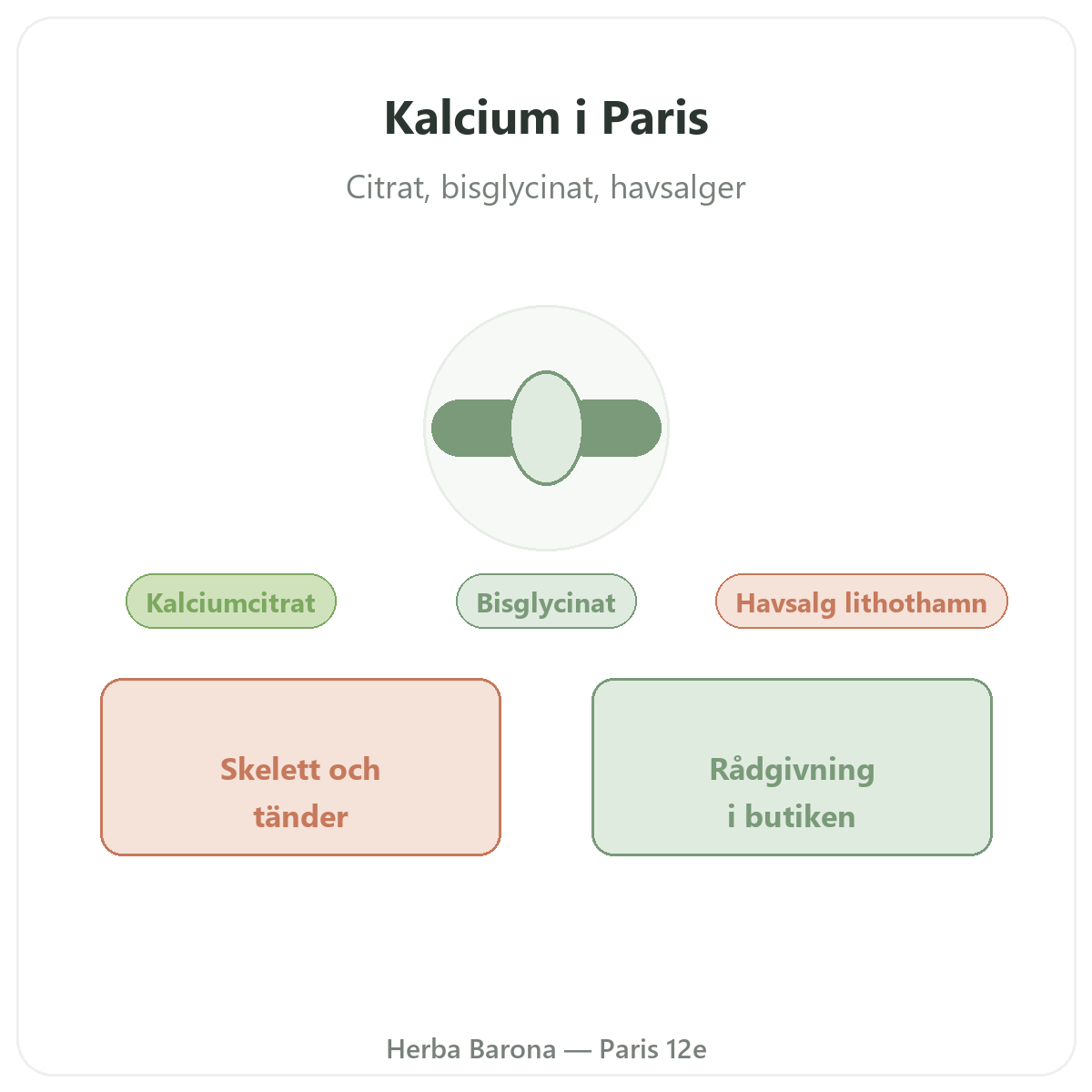 Kalcium i Paris – hos Herba Barona Paris 12e