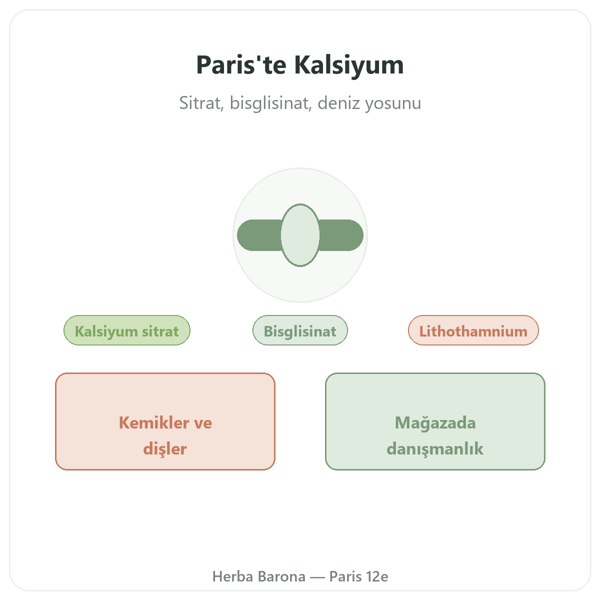 Paris’te Kalsiyum - Herba Barona Paris 12. bölge