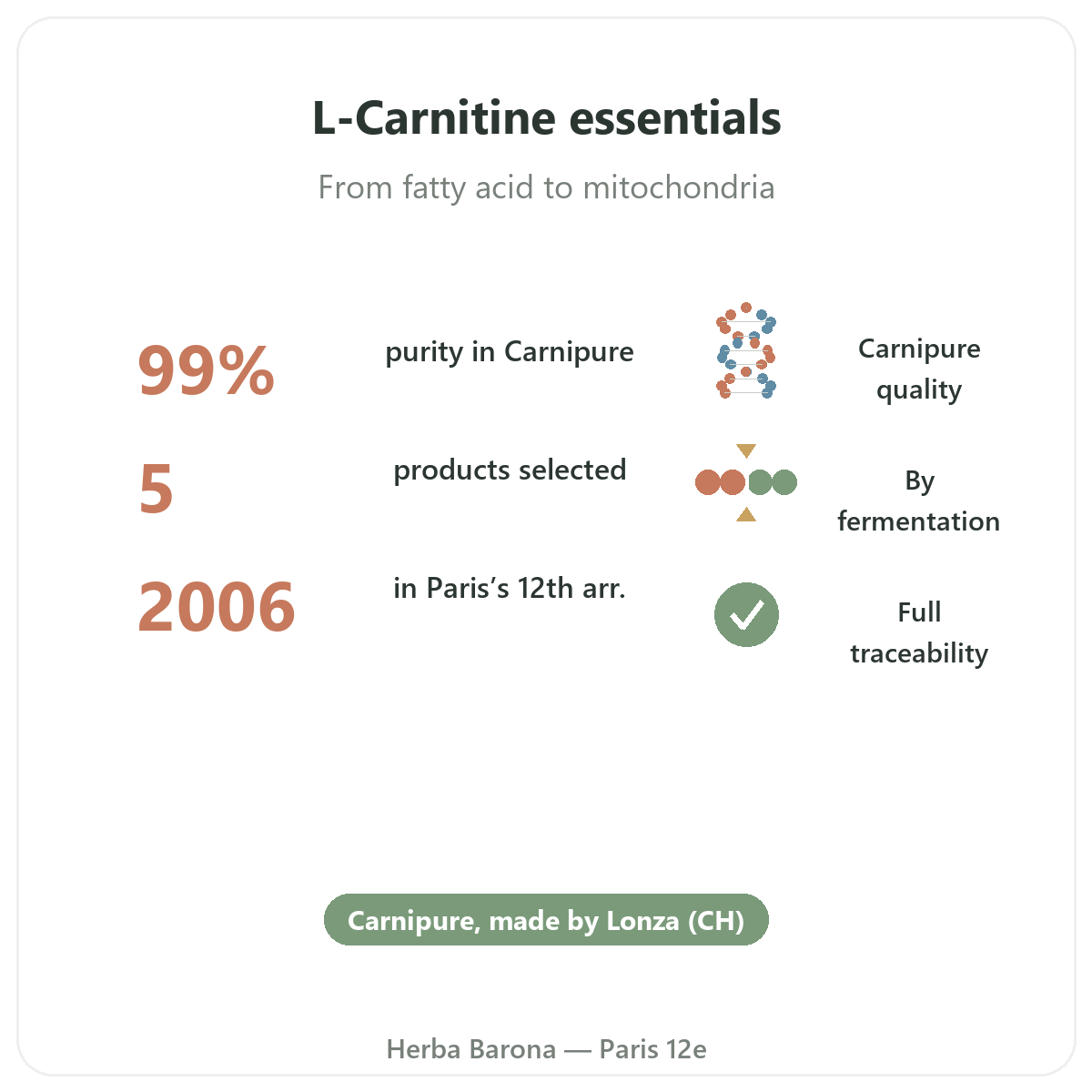 L-Carnitine in Paris at a glance - key facts at Herba Barona Paris 12th