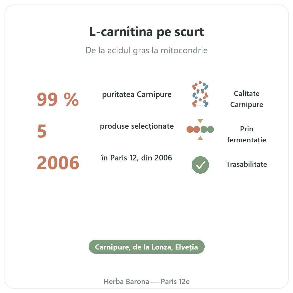 L-Carnitine Paris Paris en bref - chiffres cles chez Herba Barona Paris 12e