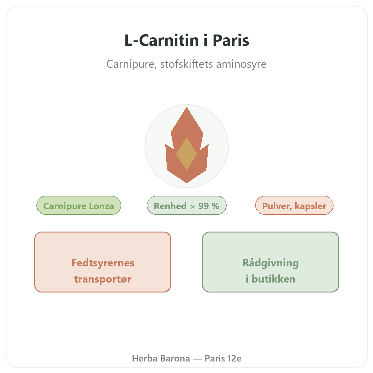 L-Carnitin i Paris - præsentation af mærket hos Herba Barona Paris 12