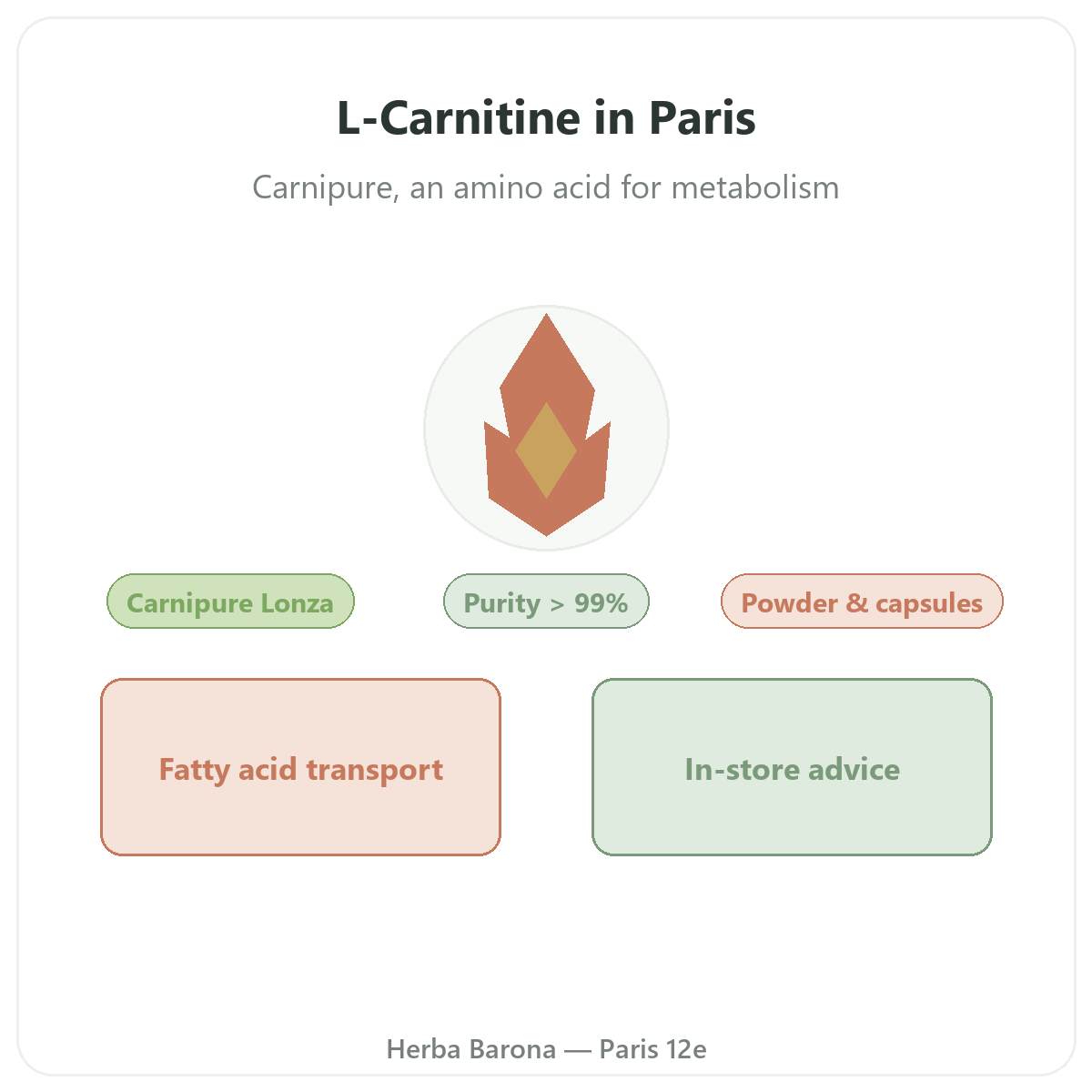 L-Carnitine in Paris - brand overview at Herba Barona Paris 12th