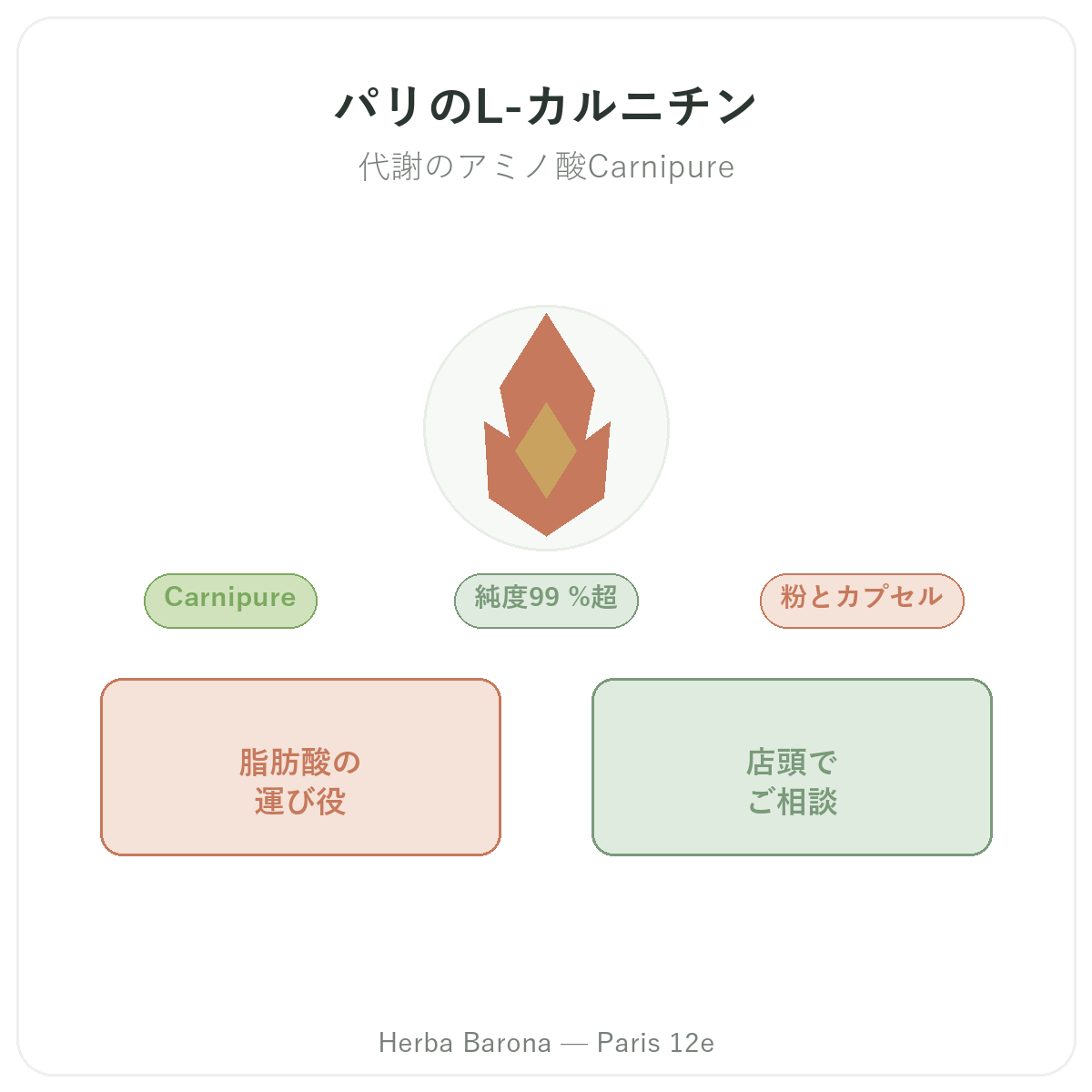 Lカルニチン パリ パリ - Herba Baronaのブランド紹介 パリ12区