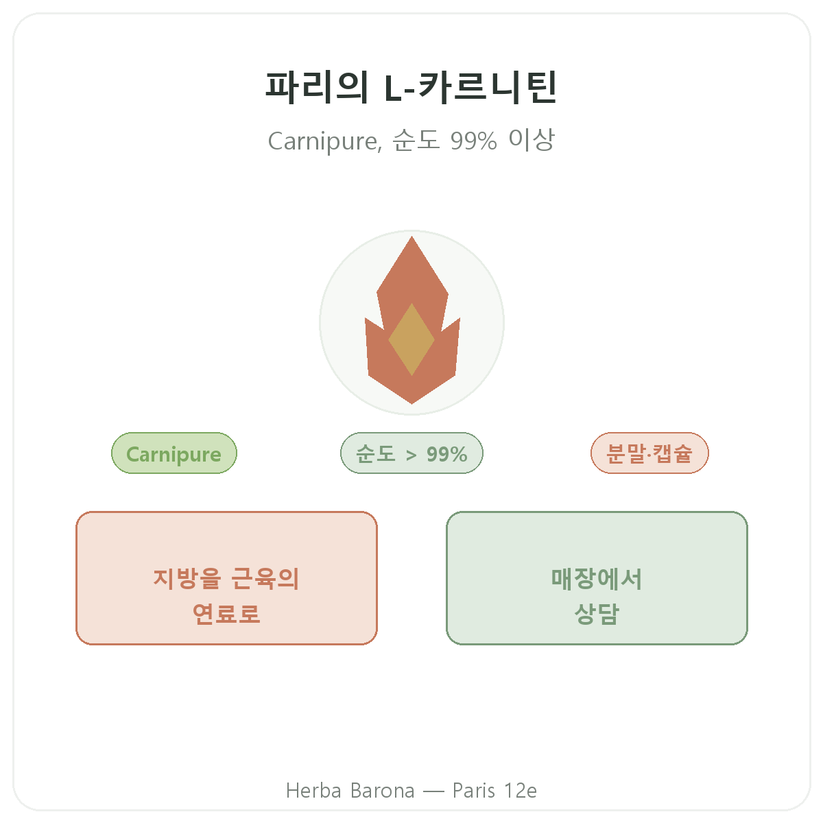 L-카르니틴 파리 - Herba Barona 파리 12구 브랜드 소개