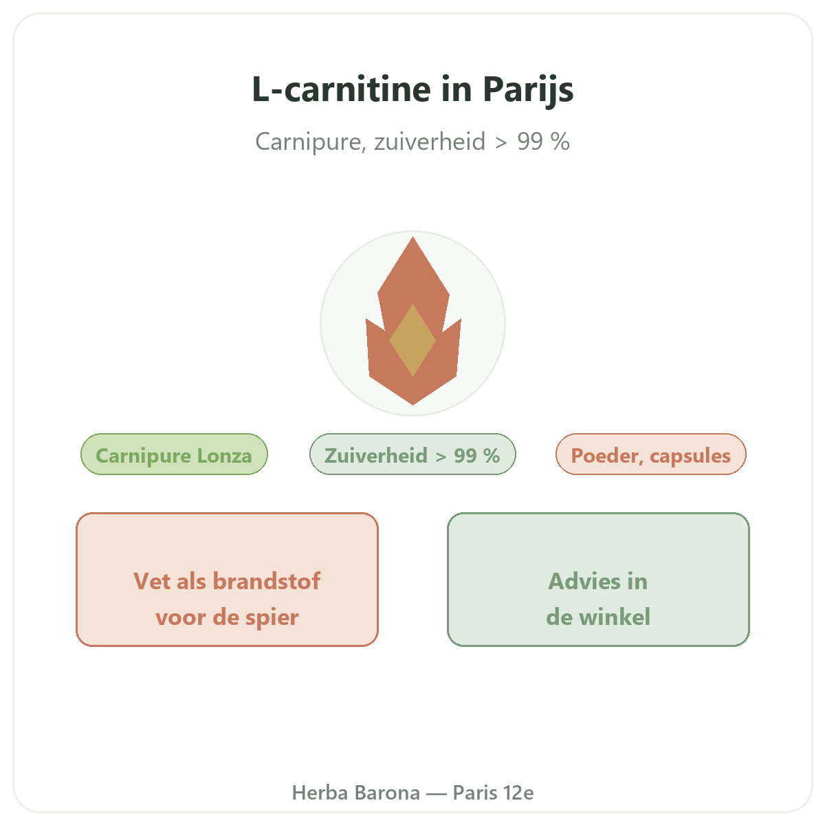 L-Carnitine Paris Paris - presentation de la marque chez Herba Barona Paris 12e