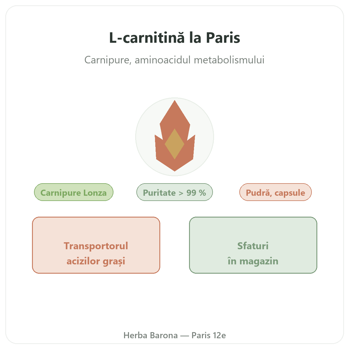 L-Carnitine Paris Paris - presentation de la marque chez Herba Barona Paris 12e