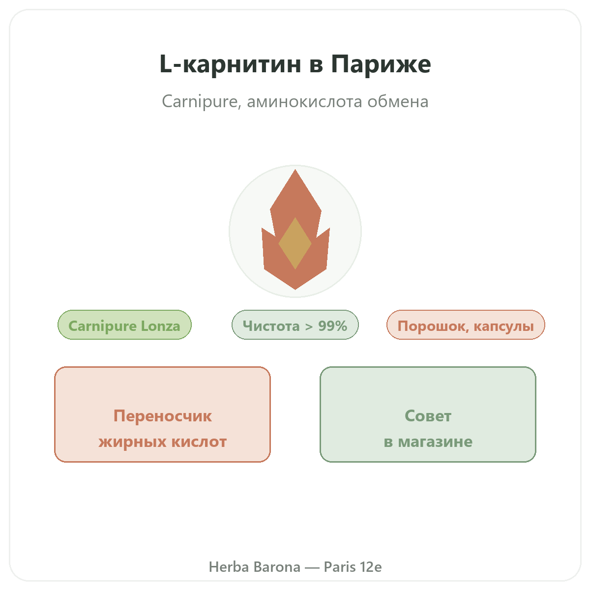 L-Carnitine Париж — презентация бренда в Herba Barona, Париж, 12-й округ