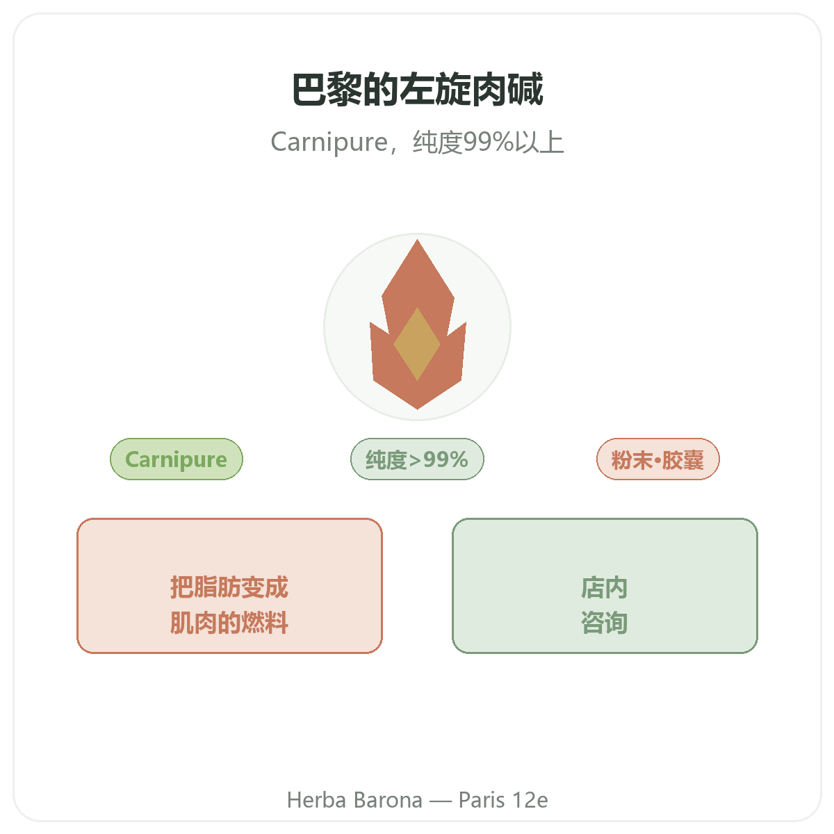 左旋肉碱 巴黎 - Herba Barona 巴黎12区品牌介绍