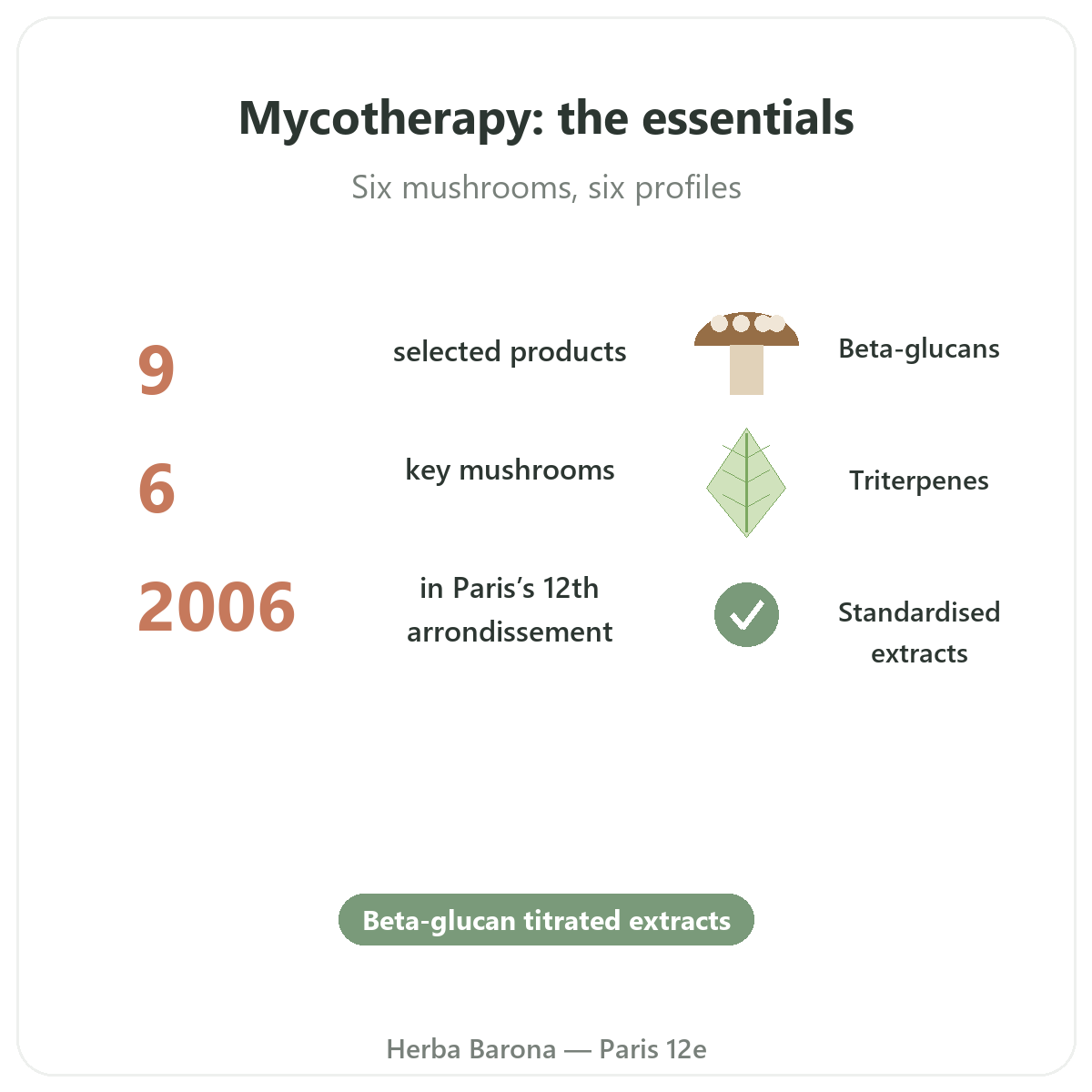 Wellness mushrooms at a glance - key figures at Herba Barona Paris 12th