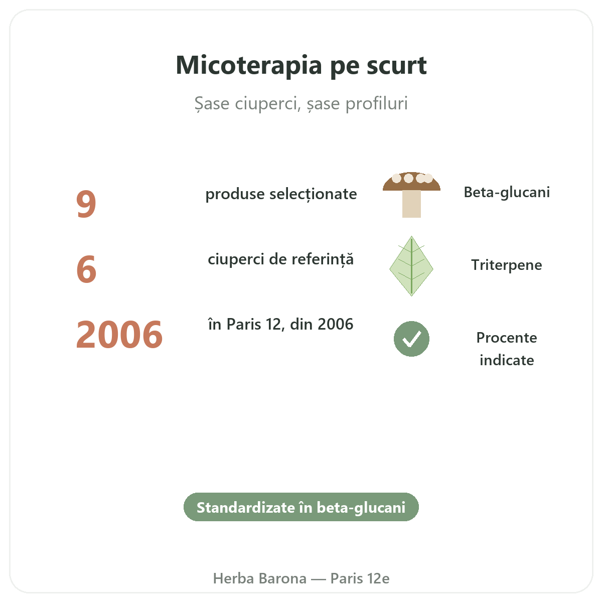 Ciuperci medicinale pe scurt - cifre cheie la Herba Barona Paris, arondismentul 12