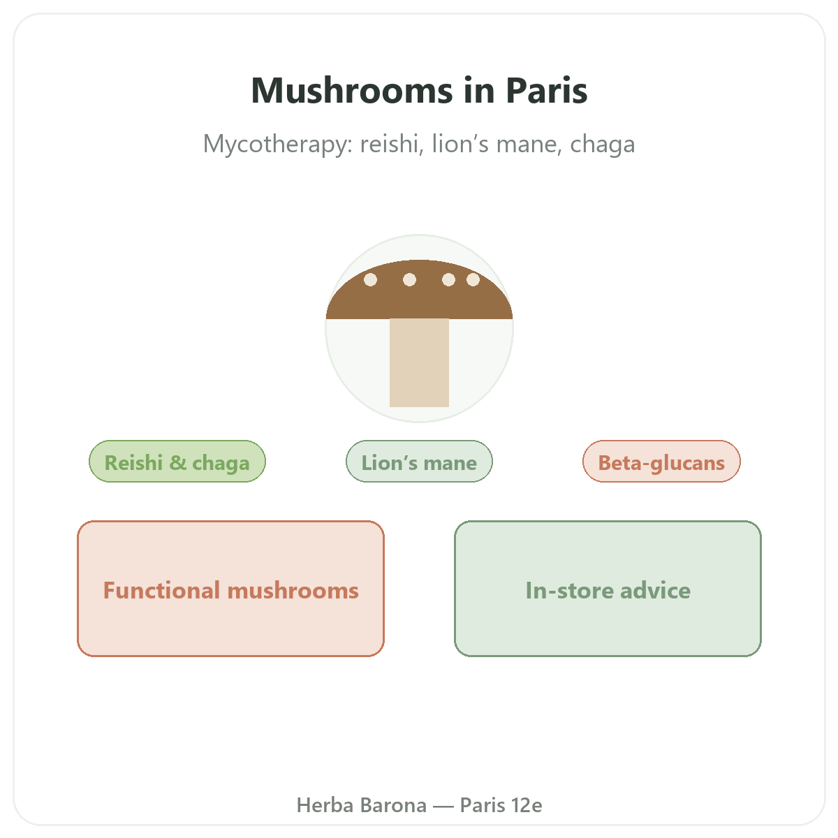 Wellness mushrooms in Paris - at Herba Barona Paris 12th