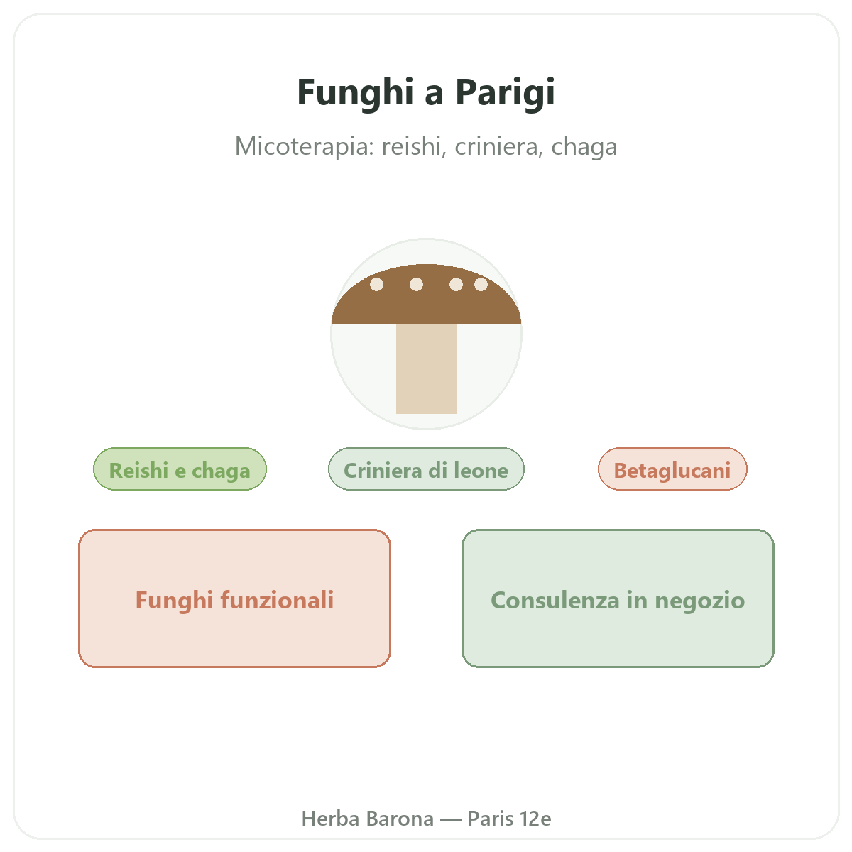 Funghi benessere a Parigi - da Herba Barona Parigi 12e
